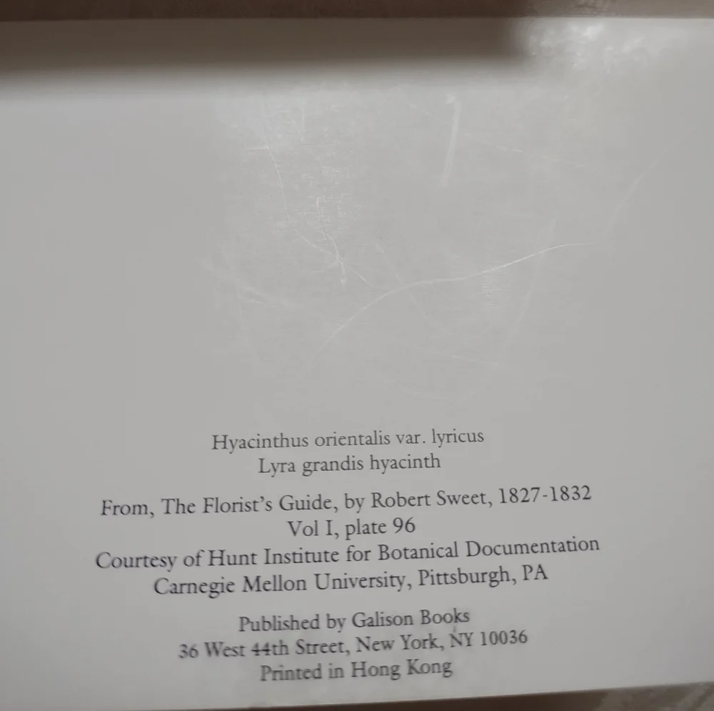 Hyacinth flowers by Robert Sweet 14 invitations folding cards + envelopes